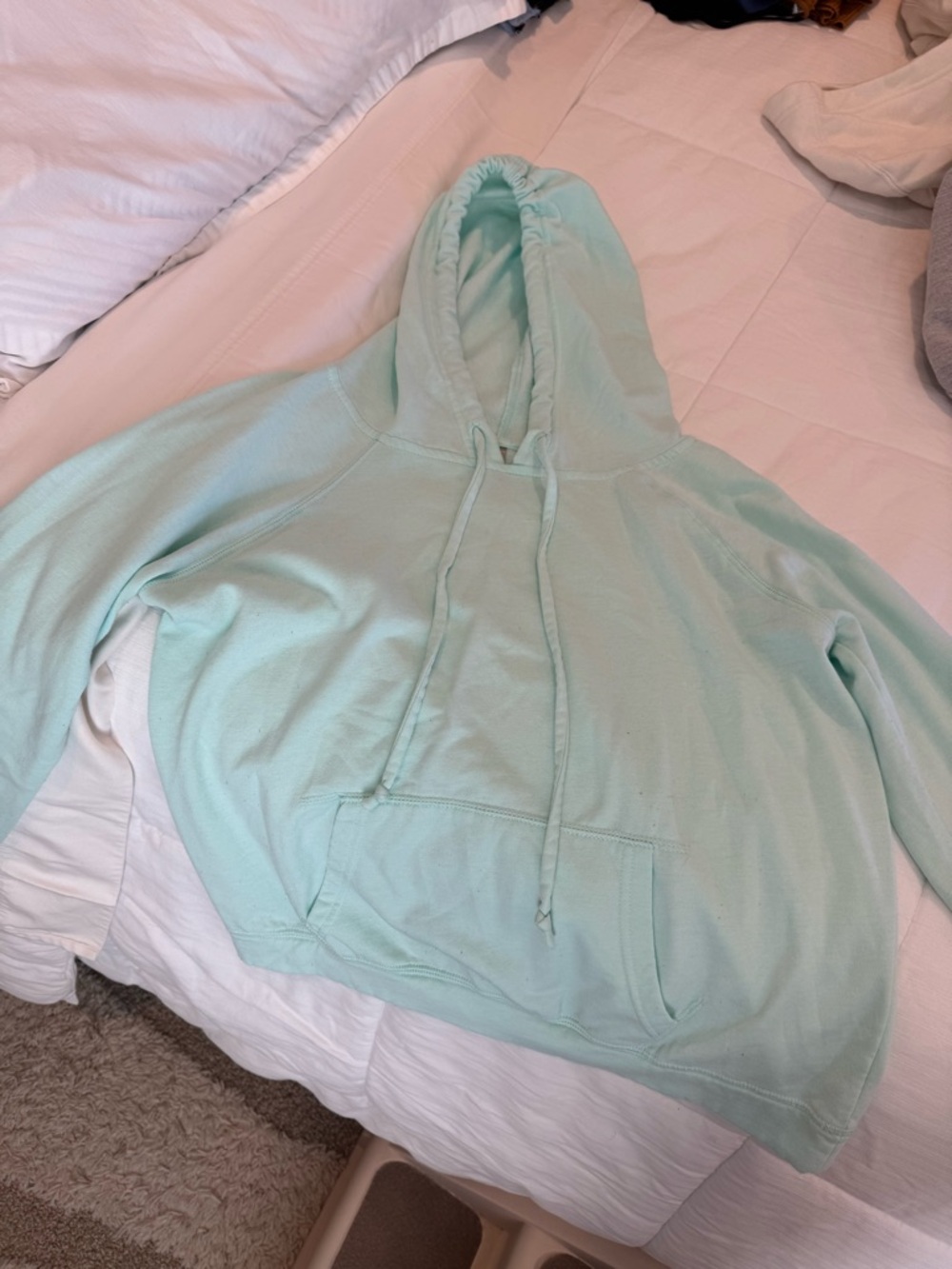 Mint Hooded Sweater